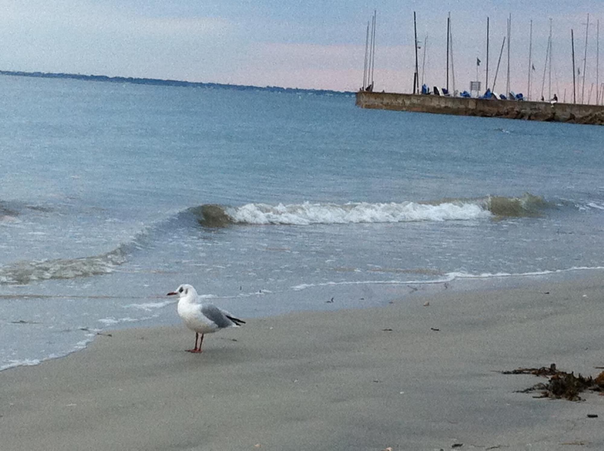 Halte Entre Terre Et Holiday home *